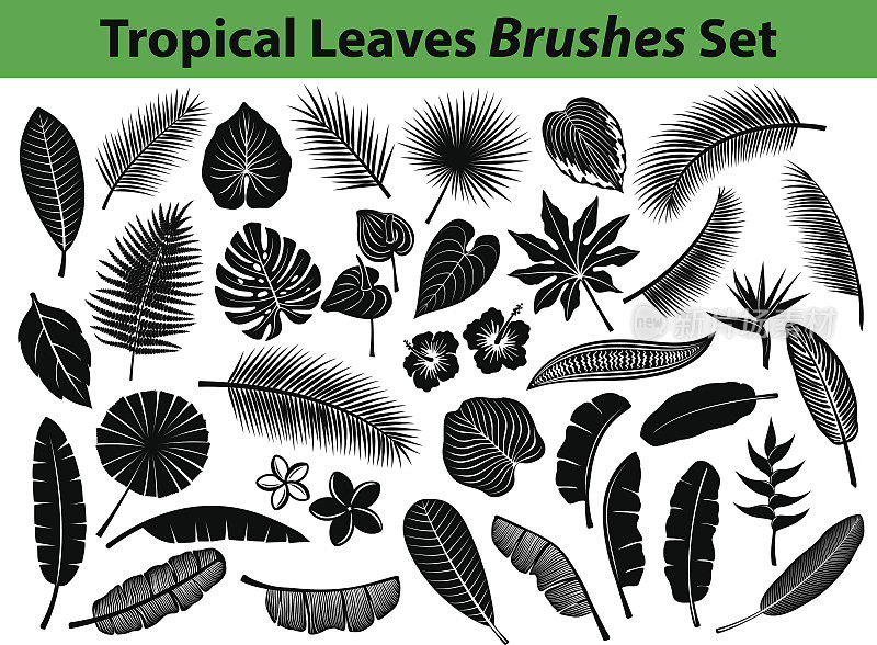 picical Exotic Leaves Silhouette Collection with some flowers in black color